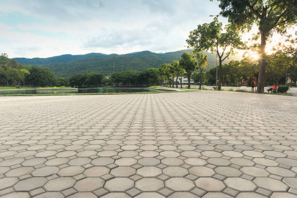 Best Residential Paver Driveway  in Gillette, WY